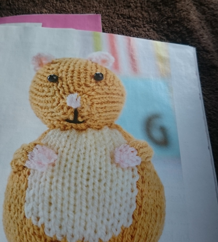 Florence the hamster by Nicky Fijalkowska Stewart