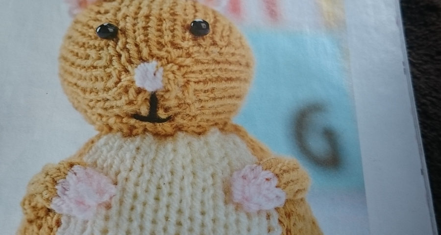 Florence the hamster by Nicky Fijalkowska Stewart