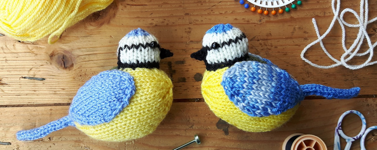 Albie the Blue Tit by Nicky Fijalkowska Stewart