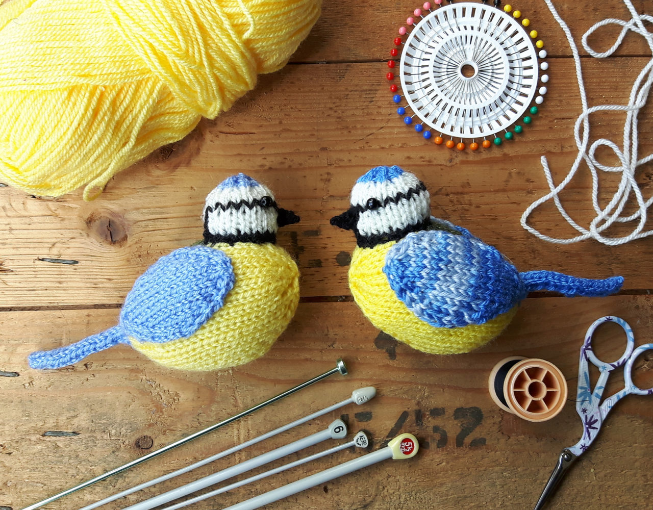 Albie the Blue Tit by Nicky Fijalkowska Stewart