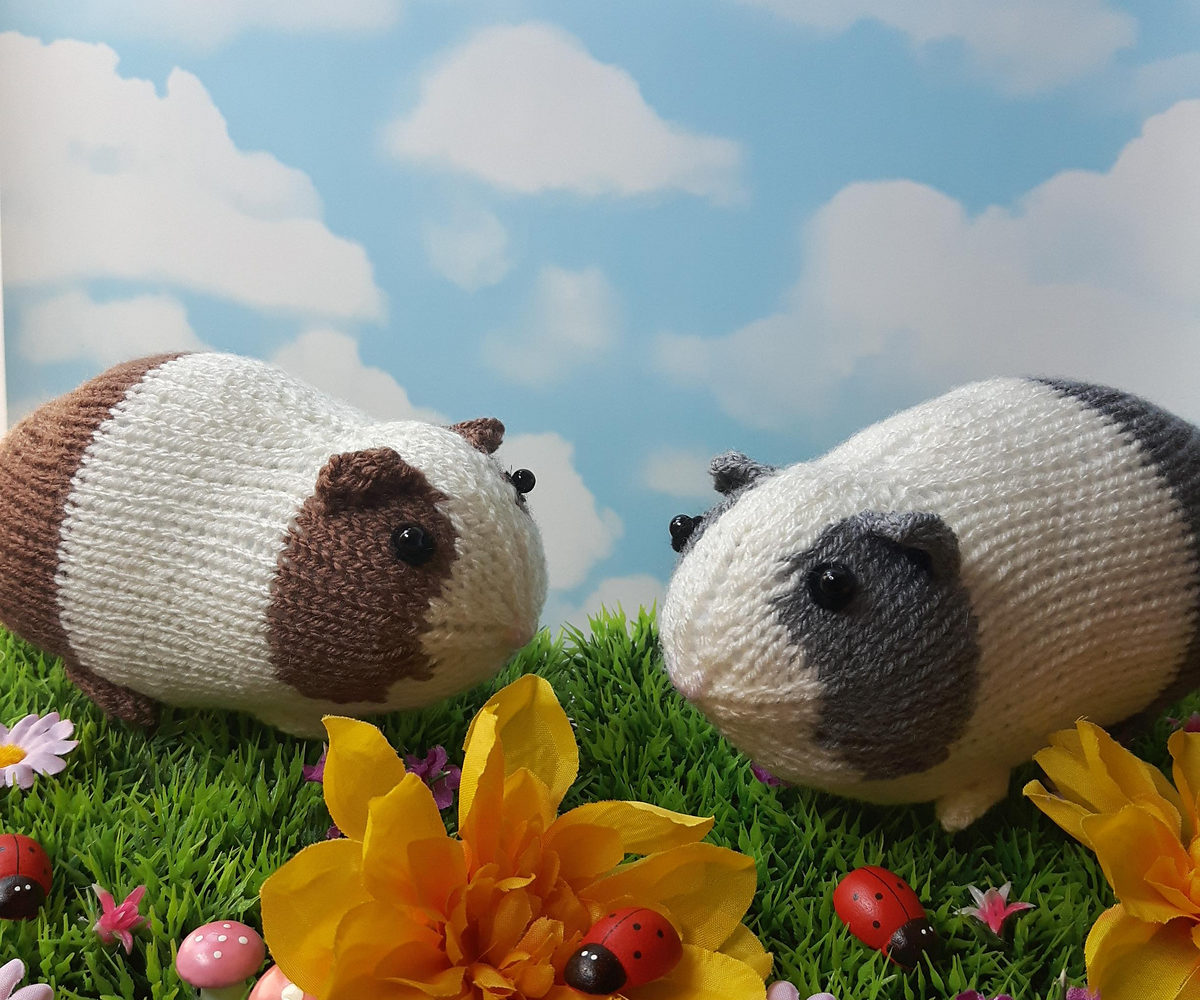 Guinea Pig by Nicky Fijalkowska Stewart