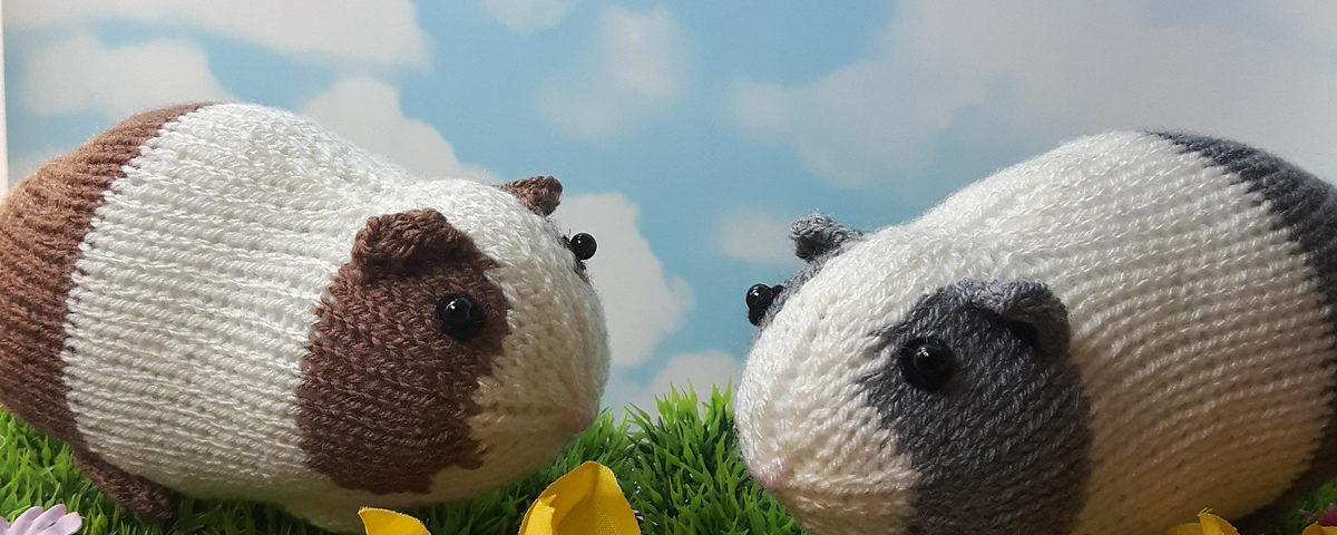 Guinea Pig by Nicky Fijalkowska Stewart